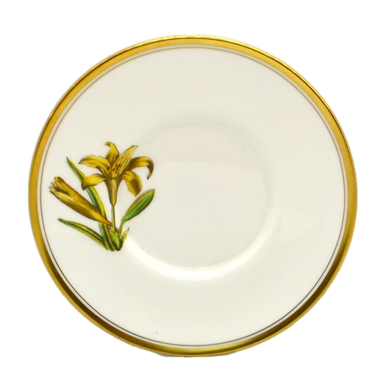 Royal Worcester China Lily Cup and Saucer  1954