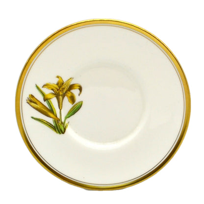 Royal Worcester China Lily Cup and Saucer  1954