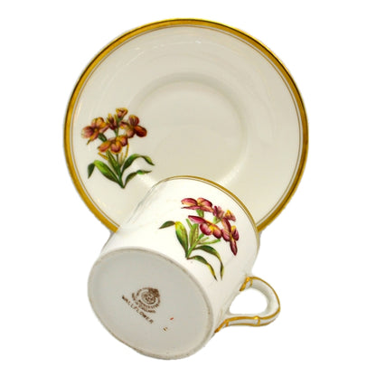 Royal Worcester China Wallflower Cup and Saucer 1955