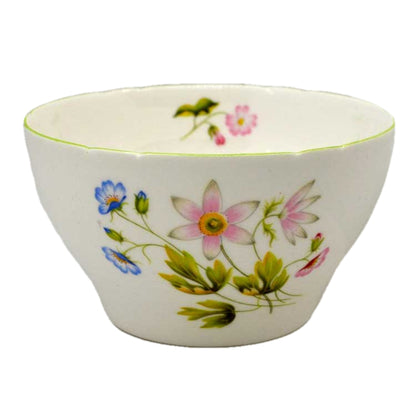 shelleu wild anemone sugar bowl