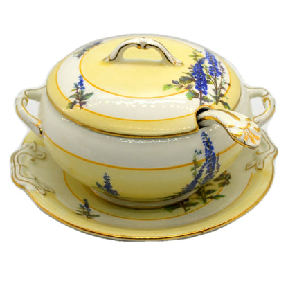 Tams Ware Floral Delphimium China 1465 Sauce Tureen Set