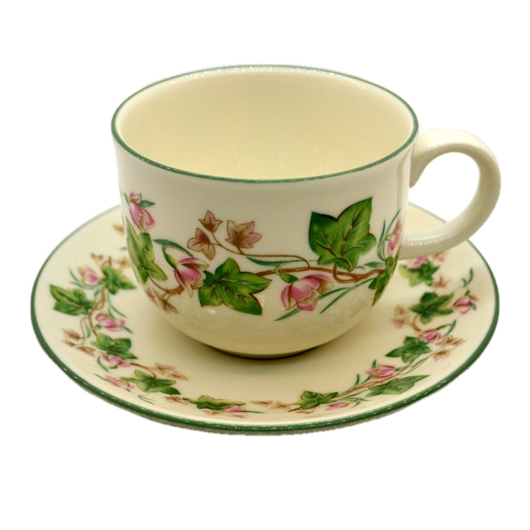 Royal Doulton Expressions Tiverton China Teacup and Saucer