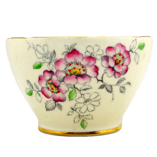 Old Royal Floral Bone China Cherry Blossom Sugar Bowl
