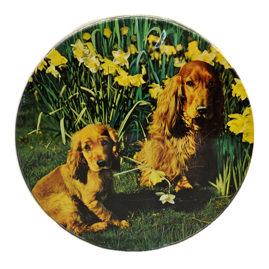 Vintage Round Bisuit Tin with Cocker Spaniels c1960