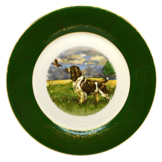 Vintage Springer Spaniel Working Dog Dinner Plate