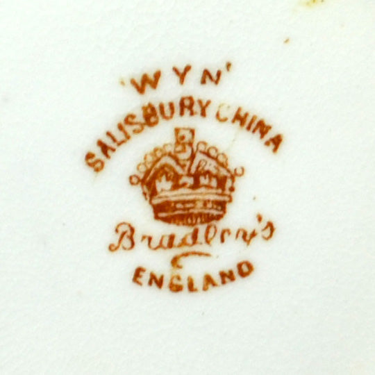 Salisbury China Bradleys Wyn Mark